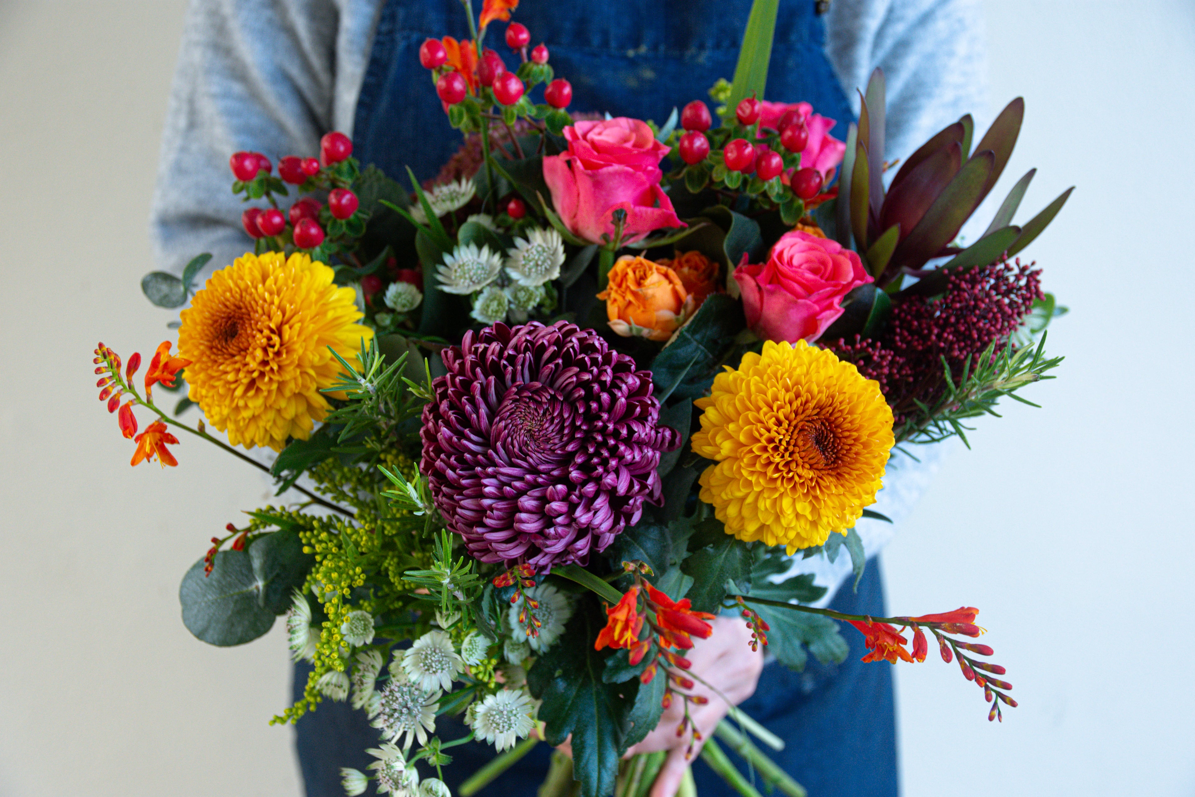 Vibrant Blooms