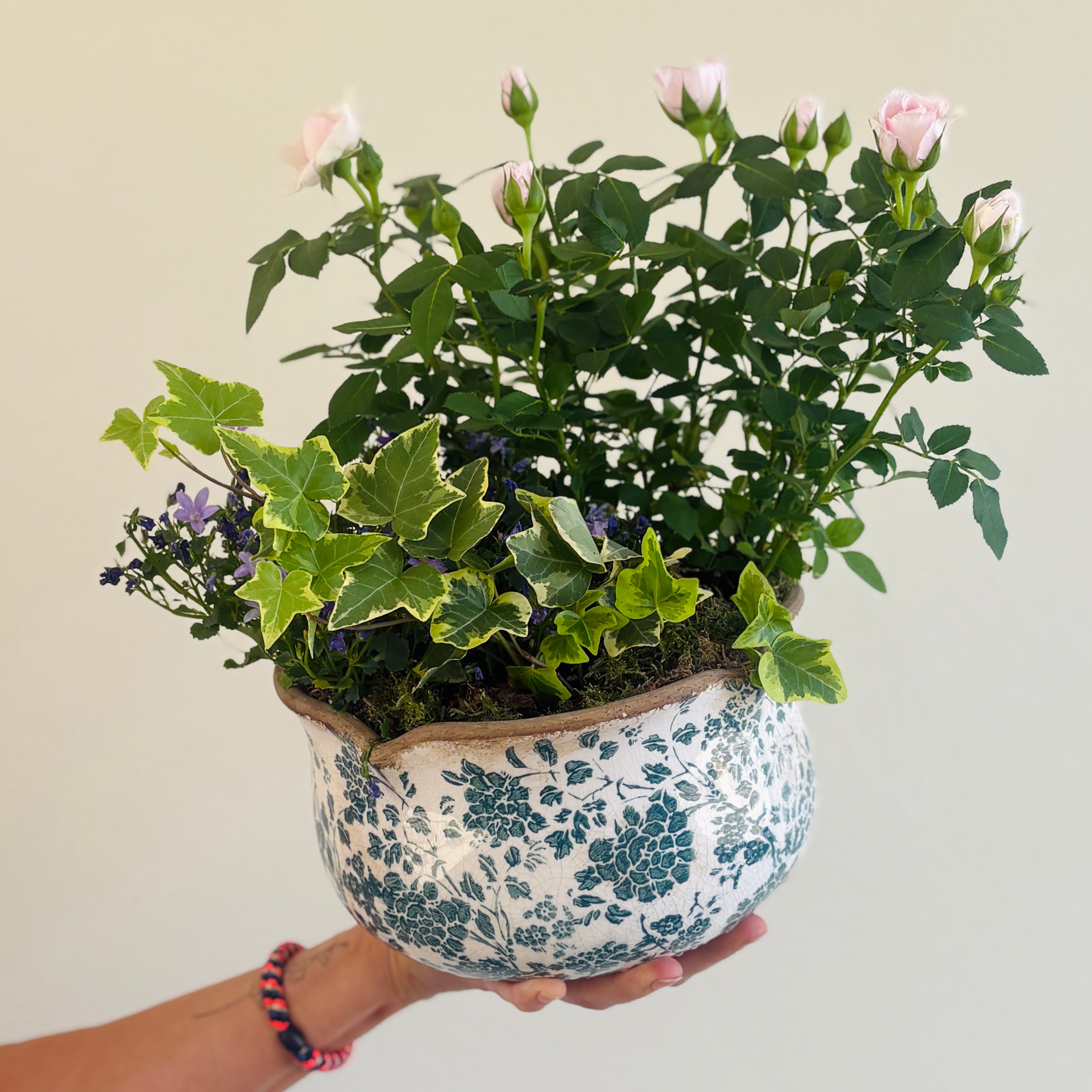 Rose Planter Arrangment