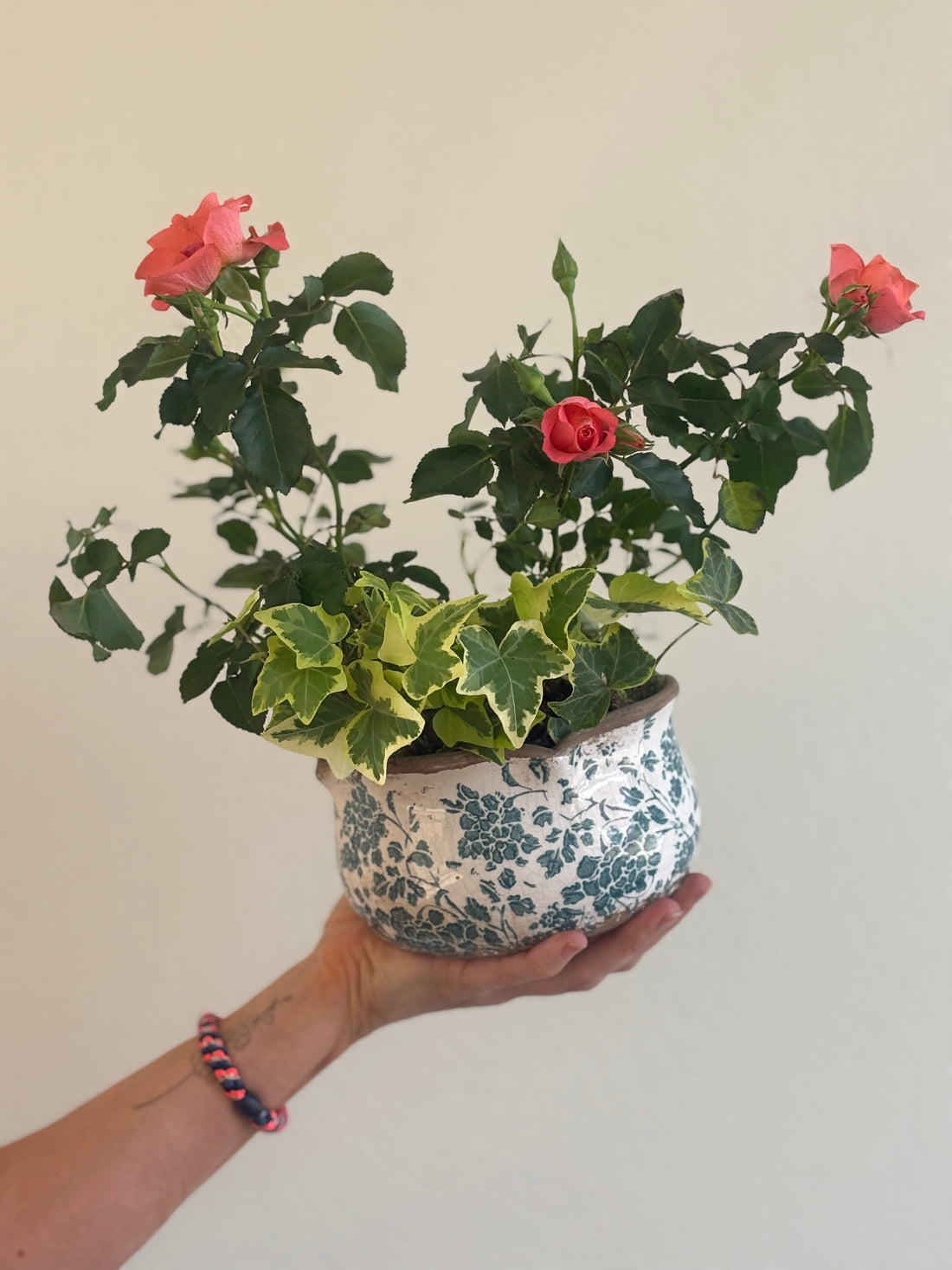 Rose Planter Arrangment