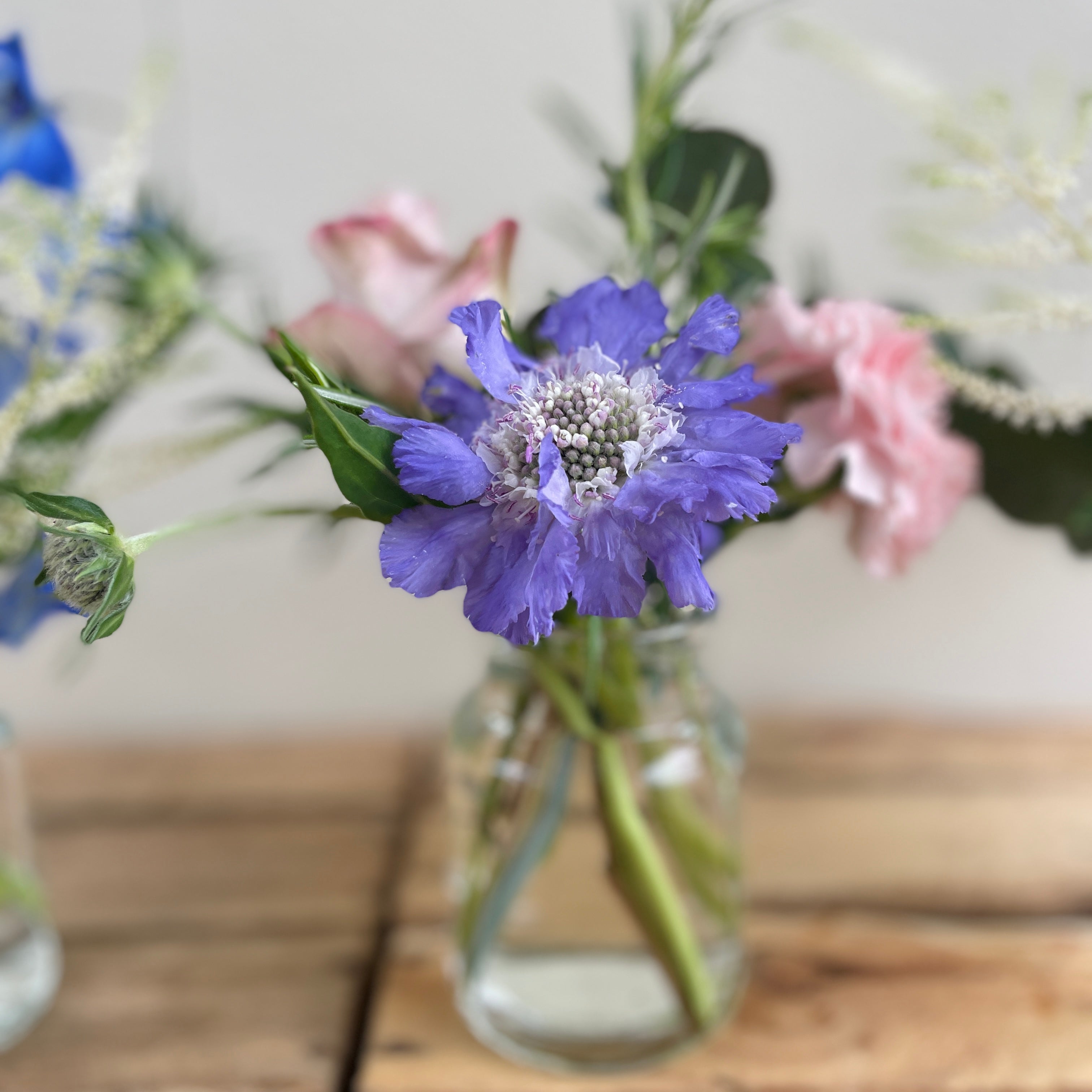 Pastel Paradise Trio of Bud Vases