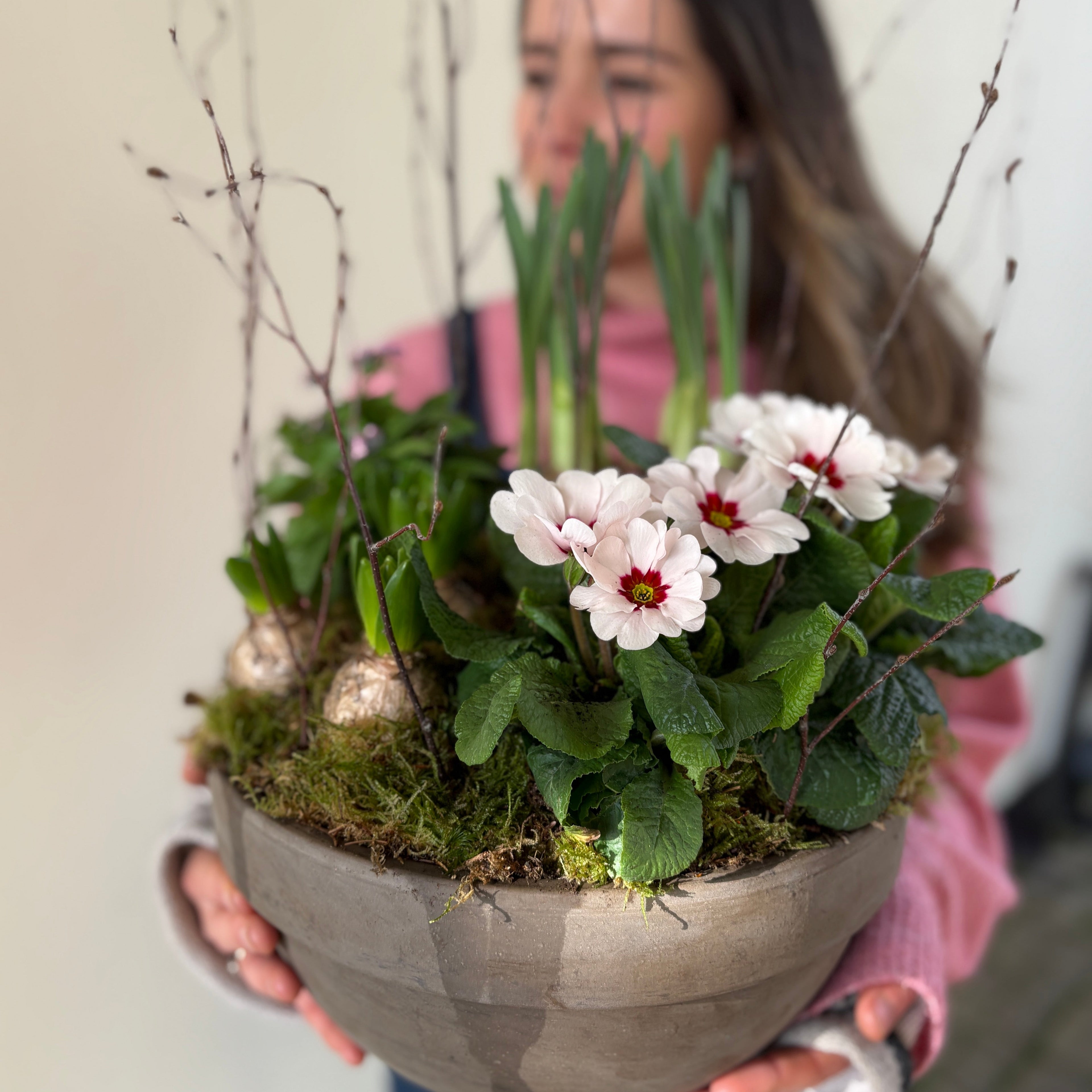 Planter Arrangment