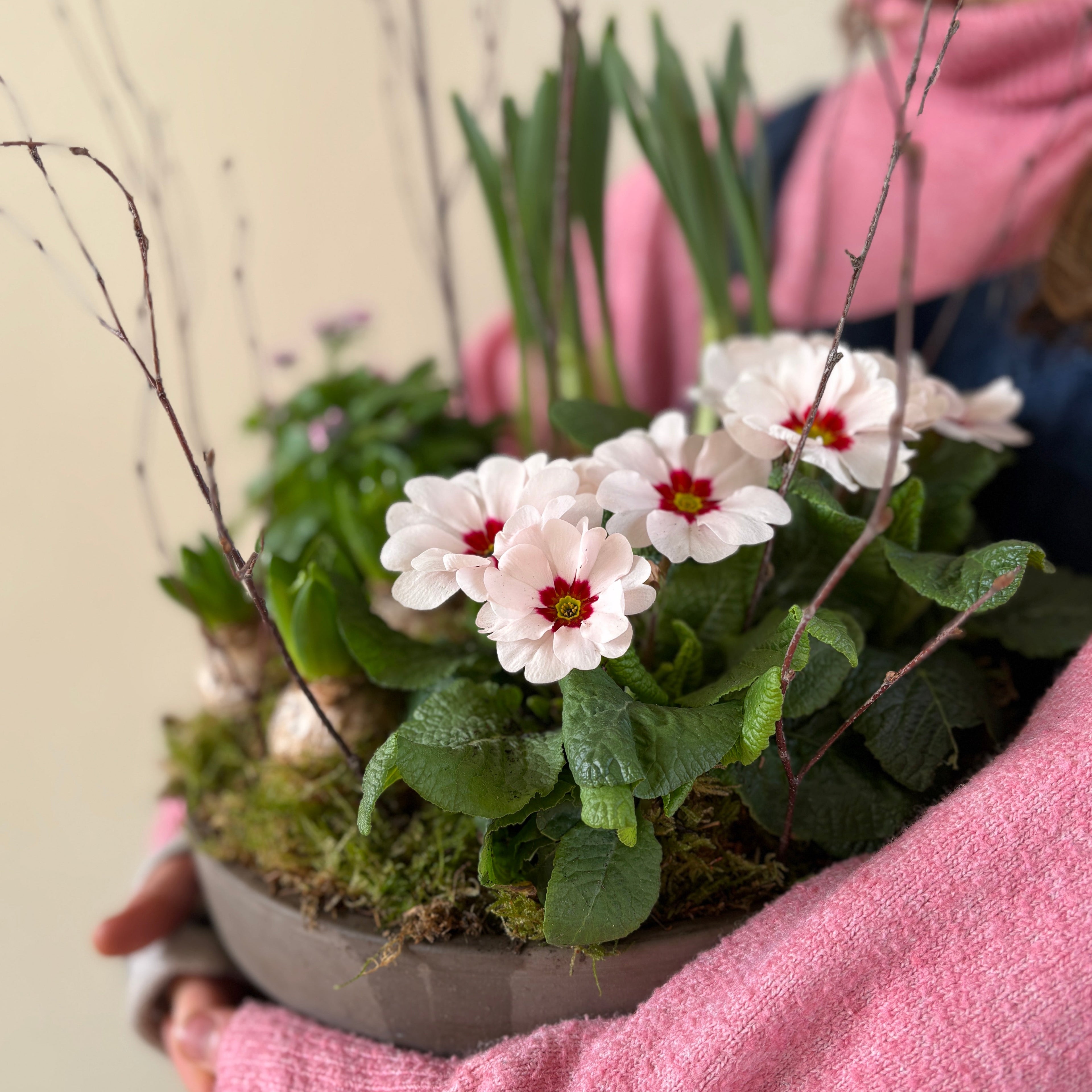 Planter Arrangment