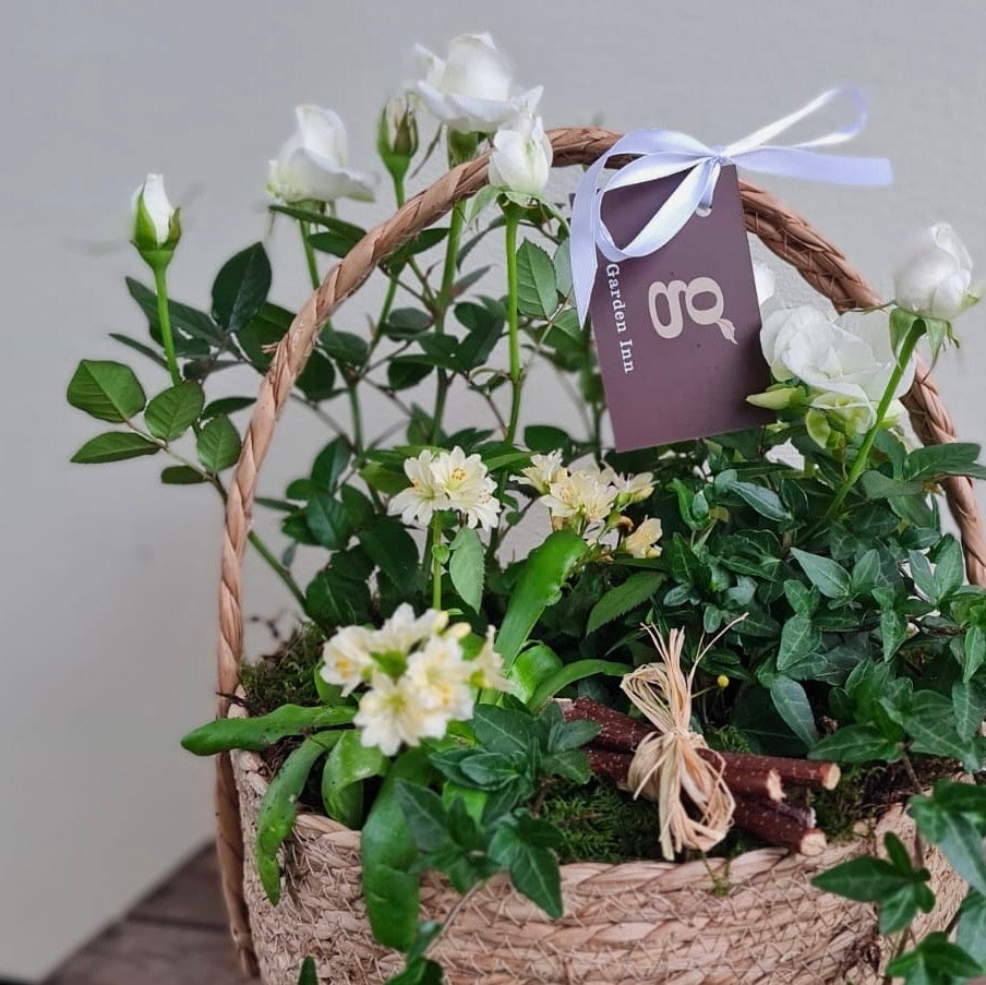 Seagrass Basket With Handle Arrangment