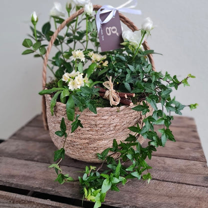 Seagrass Basket With Handle Arrangment