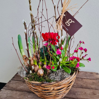 Rattan Basket Arrangment